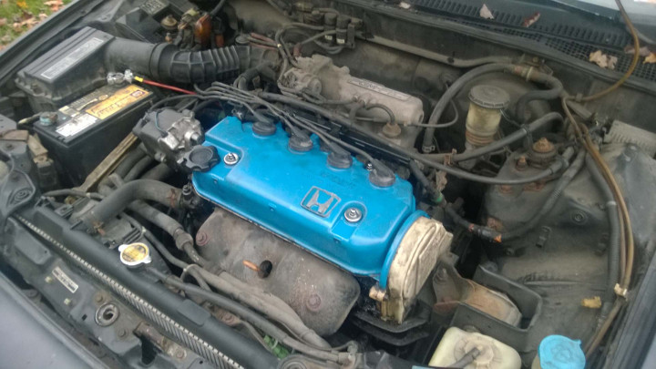 Potential CRX #5 - Engine Bay